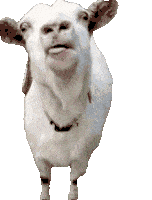 Okezan